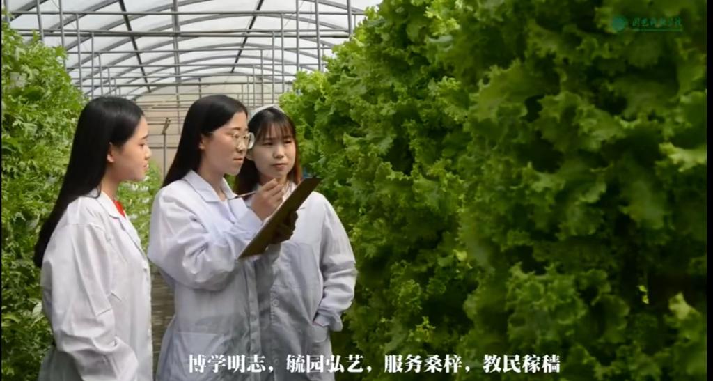 太阳集团tyc33455cc招生宣传短片