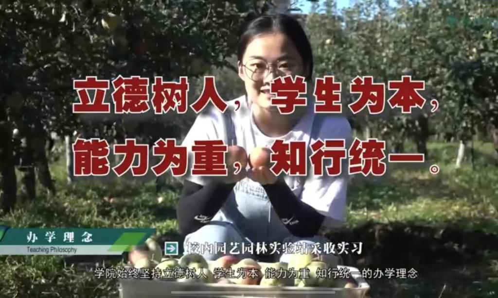 太阳集团tyc33455cc宣传片